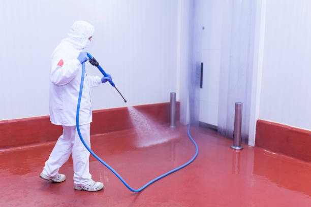 Best Patio and Deck Pressure Washing  in Artesia, NM
